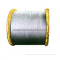 Well-Sold Best Quality Steel Wire Rope